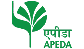 logo-03